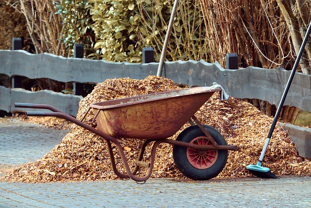 mulch in wheel barrow